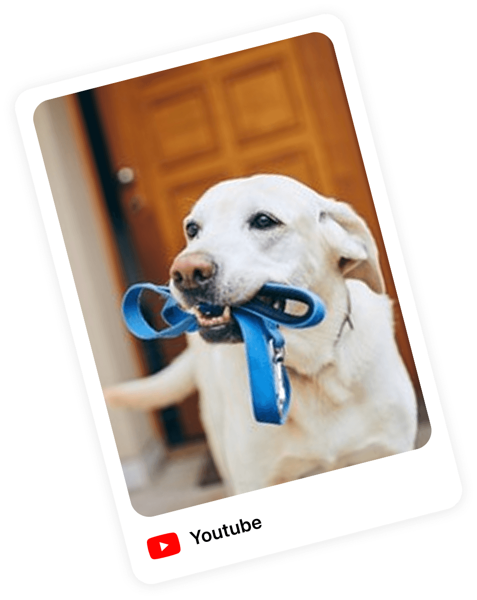 Top channels snapshot